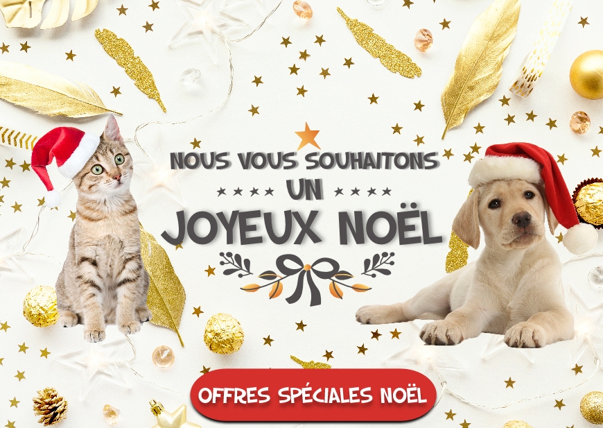 BOUTIQUE DE NOEL CHIEN ET CHAT